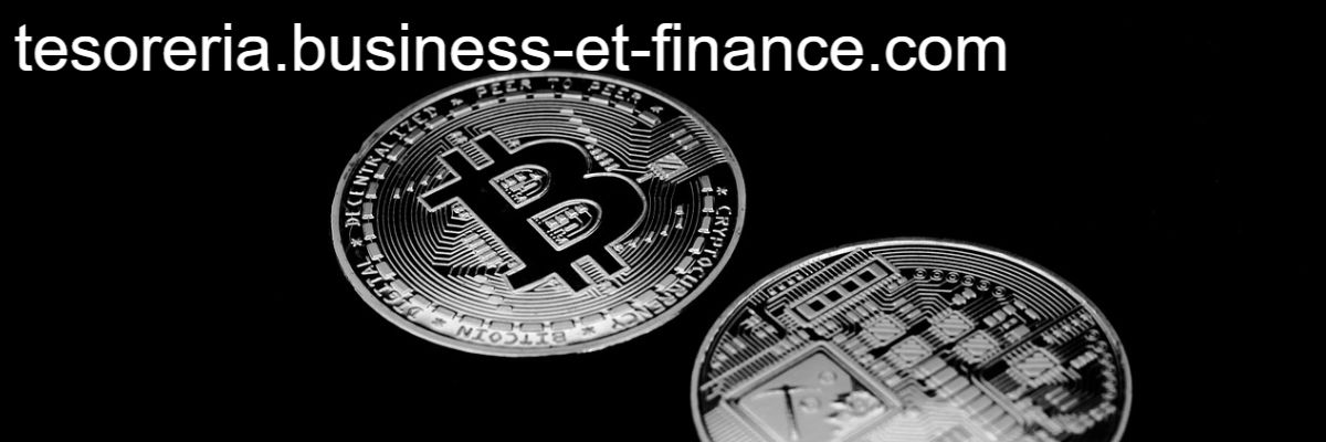 tesoreria.business-et-finance.com